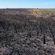 Do total de área queimada, mais de 81 mil hectares estão presentes em 386 imóveis rurais
