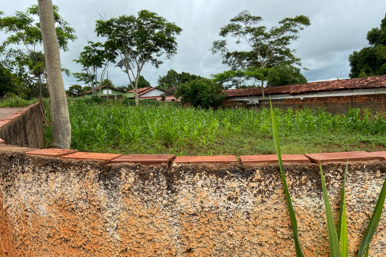 Lote pretenso para doação em Tocantinópolis