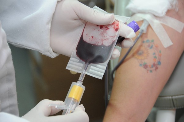 O MPTO e parceiros celebram o Dia Mundial do Doador de Sangue com realização Parceiros pela Vida