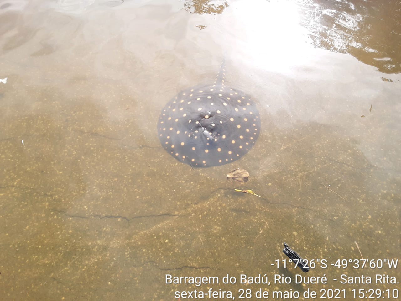 A barragem está localizada na Fazenda Três Fronteiras