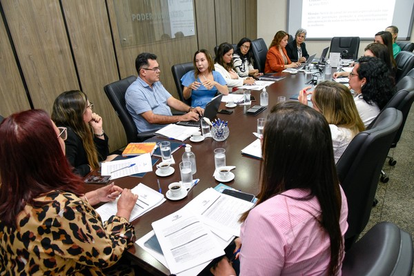 Promotora de Justiça Isabelle Figueiredo representou o MPTO na reunião