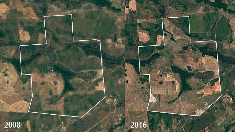 Imagens da área vegetada da fazenda Bom Jardim em 2008 e após o desmatamento, em 2016.