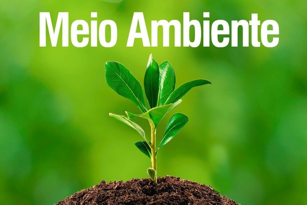 Ação visa apurar danos ao meio ambiente