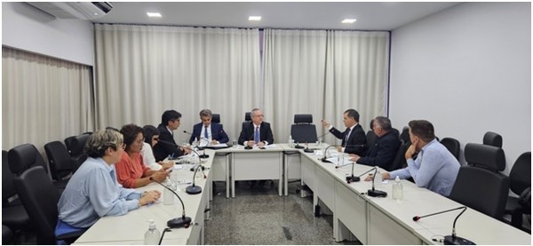 Primeira Reunião para Discussão da Implementação da Política Antimanicomial do Poder Judiciário Brasileiro no Estado do Tocantins