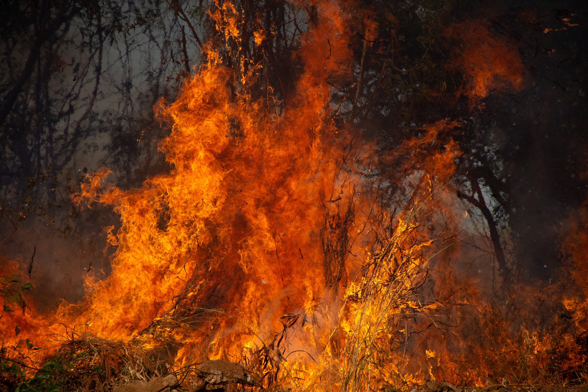 Fogo foi ateado às margens da TO-050 (foto ilustrativa)