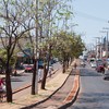 A recomendação solicita que o Município revitalize as ciclofaixas e ciclovias existentes em Palmas
