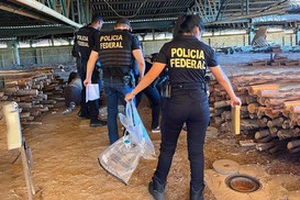 MPTO acompanha incineração de drogas apreendidas durante operações da Polícia Federal