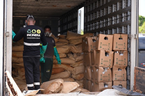 O material foi apreendido em novembro deste ano e há cerca de 10 dias estava armazenado em uma unidade da Polícia Militar em Palmas