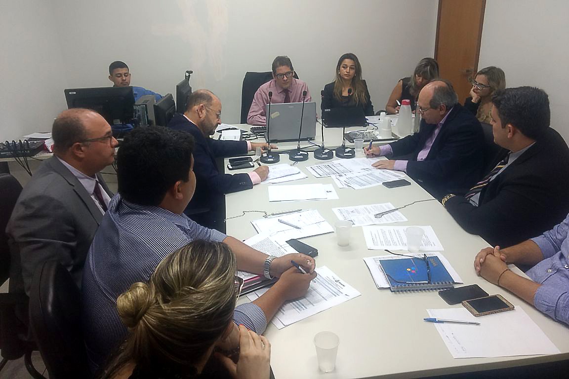 Promotora de Justiça Araína Cesárea representa o MPE na ação