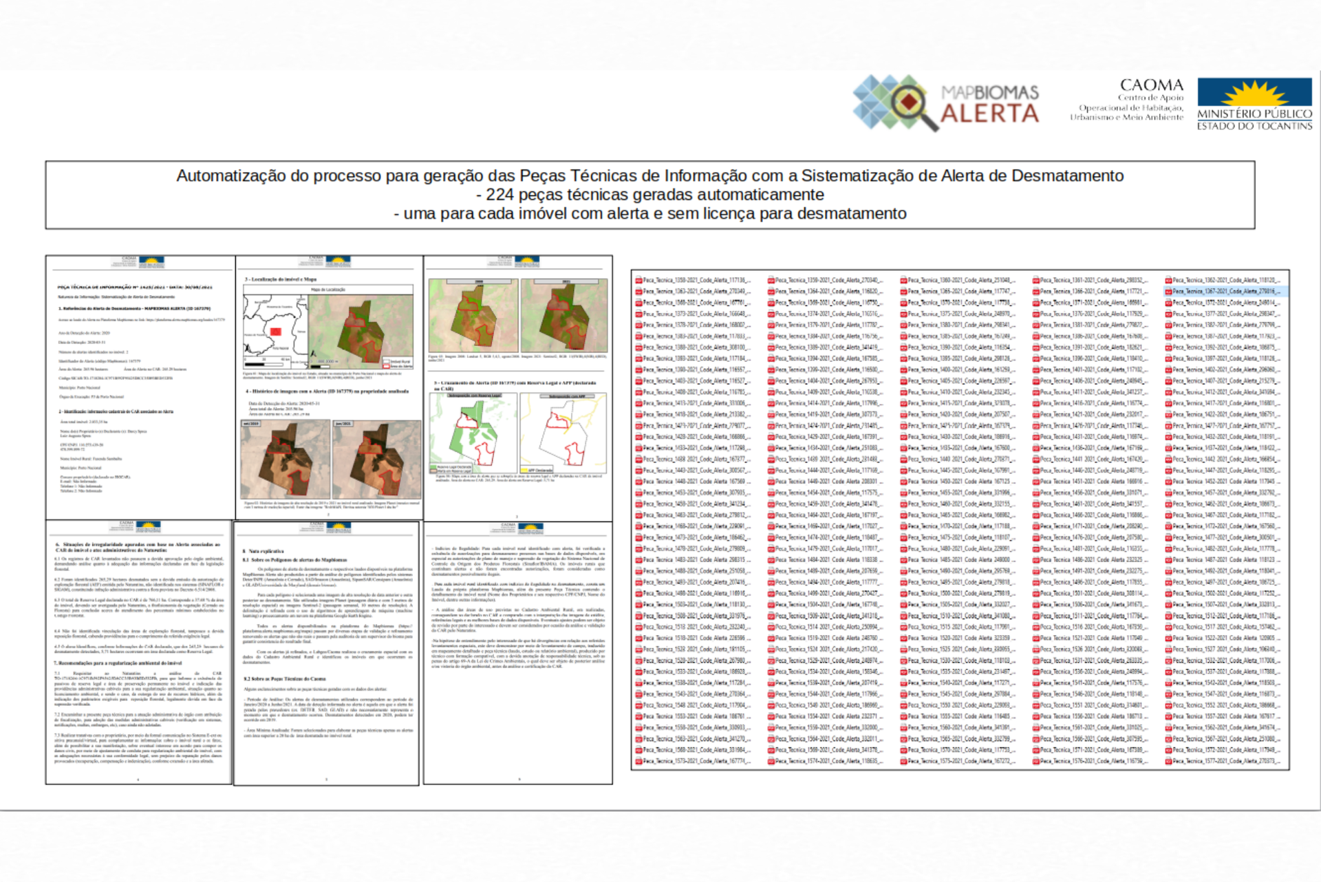 224 peças técnicas geradas automaticamente - uma para cada imóvel com alerta e sem licença para desmatamento