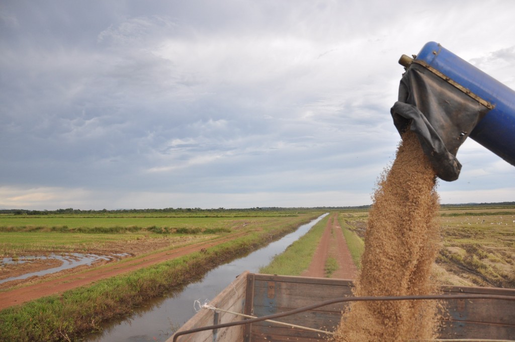 Governo do Tocantins e Naturatins deverá promover a repactuação do Projeto de Gestão de Alto Nível dos Recursos Hídricos da Bacia Hidrográfica do Rio Formoso.