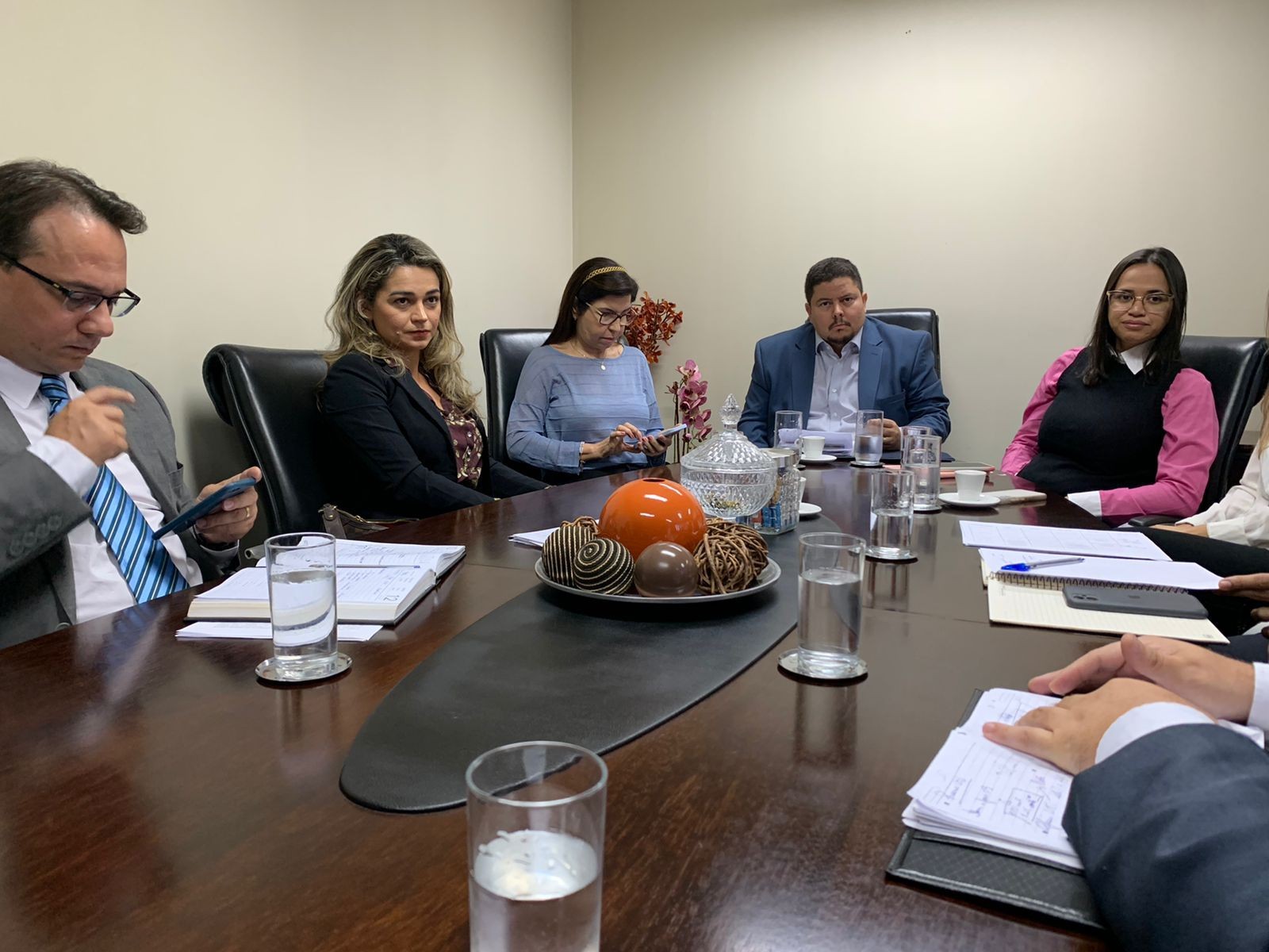 Reunião foi realizada na última terça-feira, 12, e reuniu a coordenadora do CaoSaúde, promotora de Justiça Araína Cesárea, integrantes da PGE e da gestão estadual