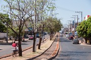 A recomendação solicita que o Município revitalize as ciclofaixas e ciclovias existentes em Palmas