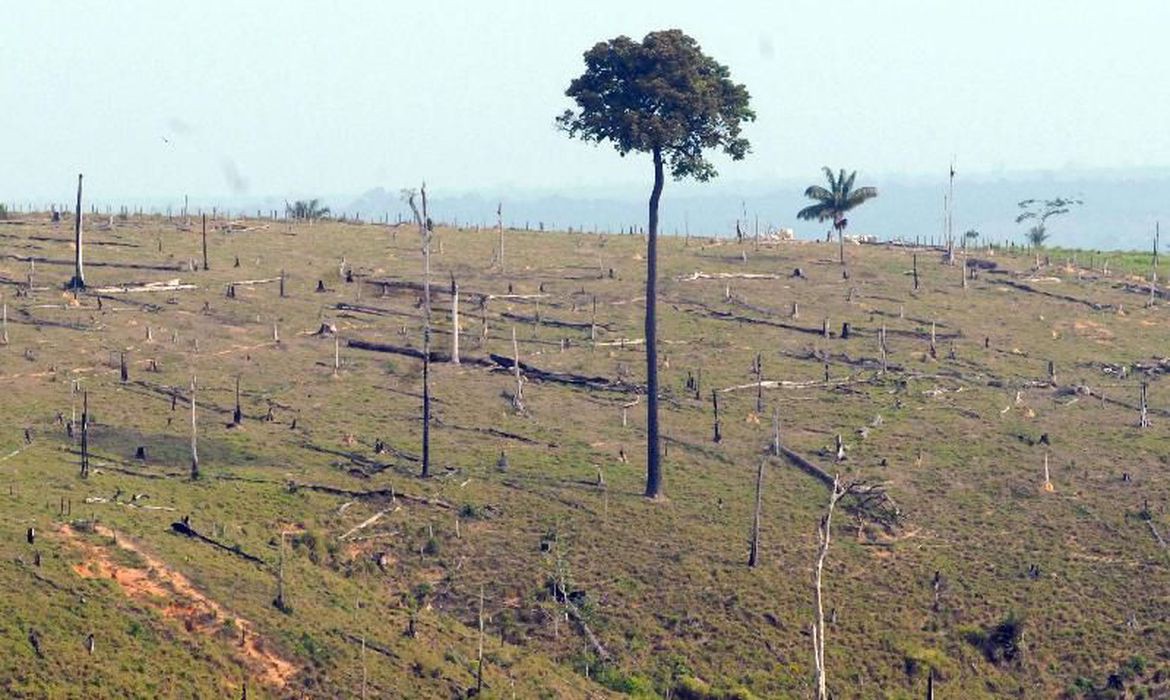 71 procedimentos podem ser alvos de acordo