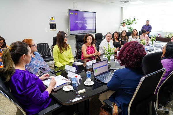 Promotora de Justiça Munique Teixeira Vaz participou da reunião