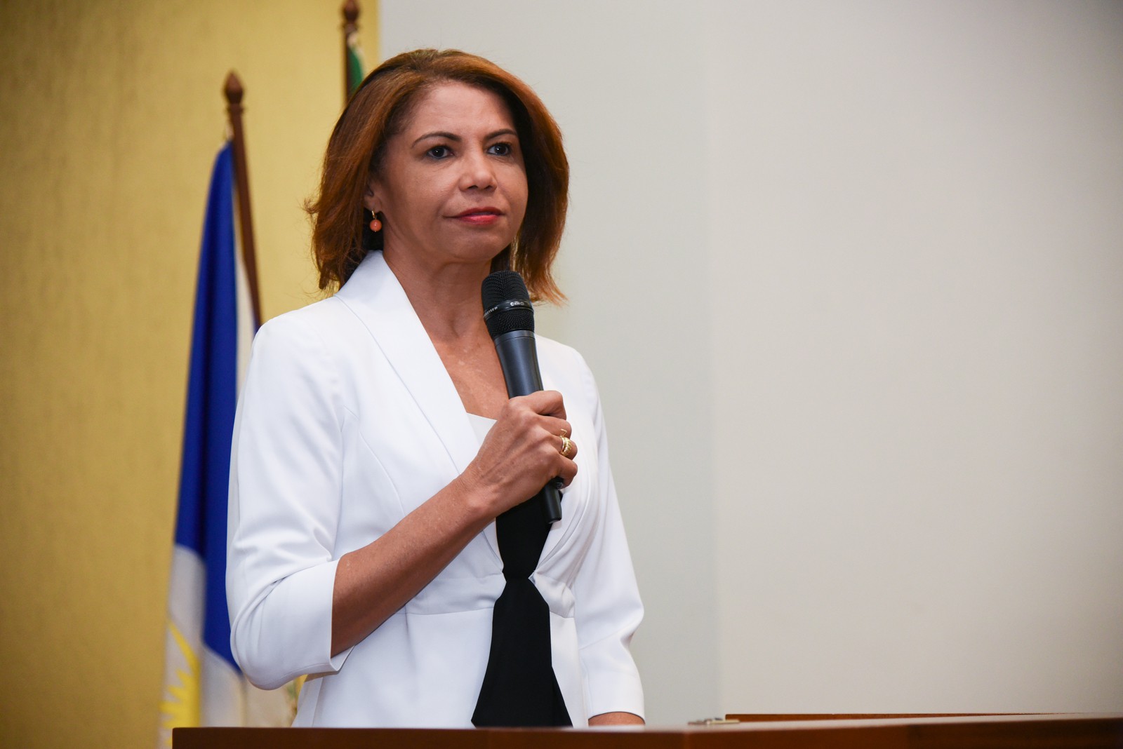 A subprocuradora-geral de Justiça, Maria Cotinha Bezerra Pereira