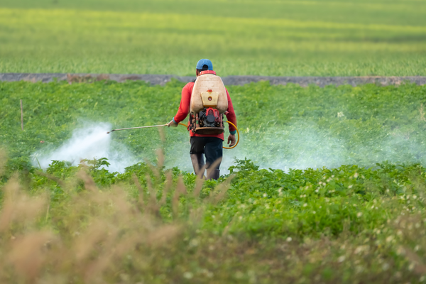 Empresa foi autuada pelo Ibama e Adapec por supostamente utilizar e armazenar agrotóxicos vencidos e proibidos no Brasil