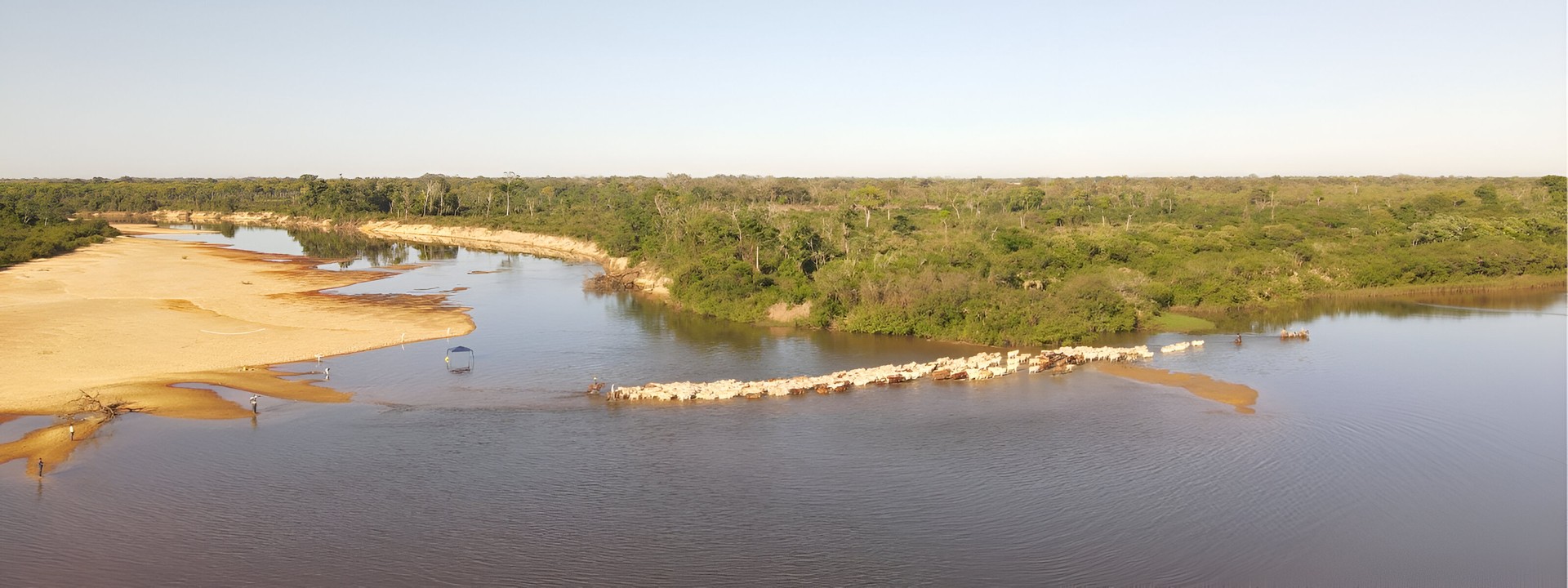 No Dia do Meio Ambiente, Ministério Público do Tocantins destaca evolução com fortalecimento de estruturas especializadas, uso intensivo de dados, foco em soluções consensuais e lançamento do inovador sistema Contra Fogo