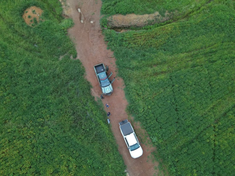 Vistoria do Caoma, em área rural do Tocantins