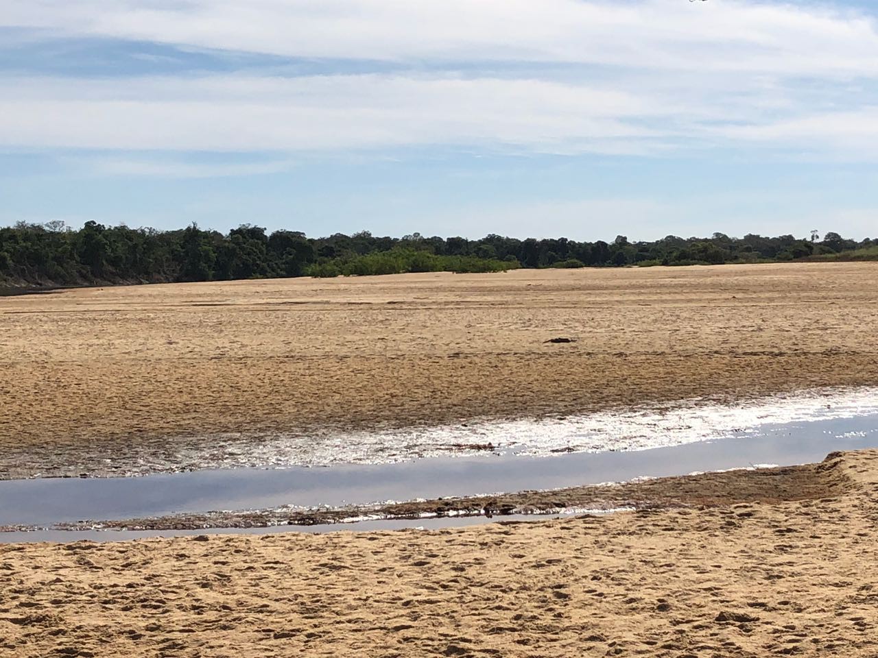 Mais um registro dos bancos de areia formados no leito do rio