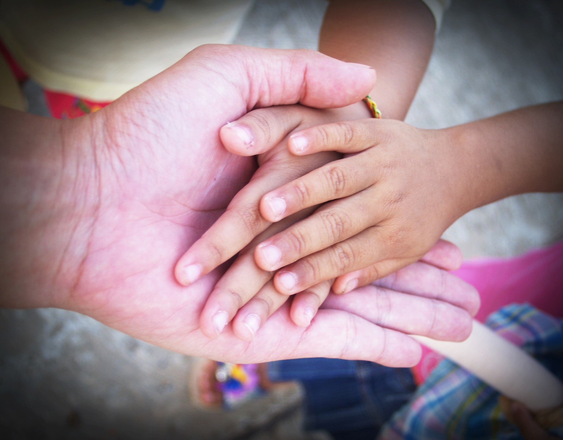 Projeto foi sugerido por Sidney Fiori a Luana Ribeiro (Photo by icon0.com from Pexels)