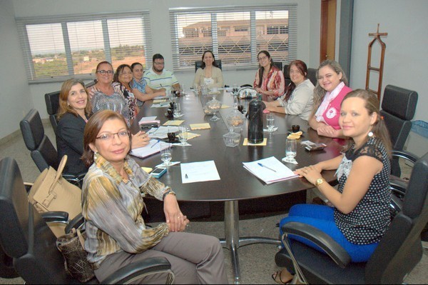 Reunião do CEDIM