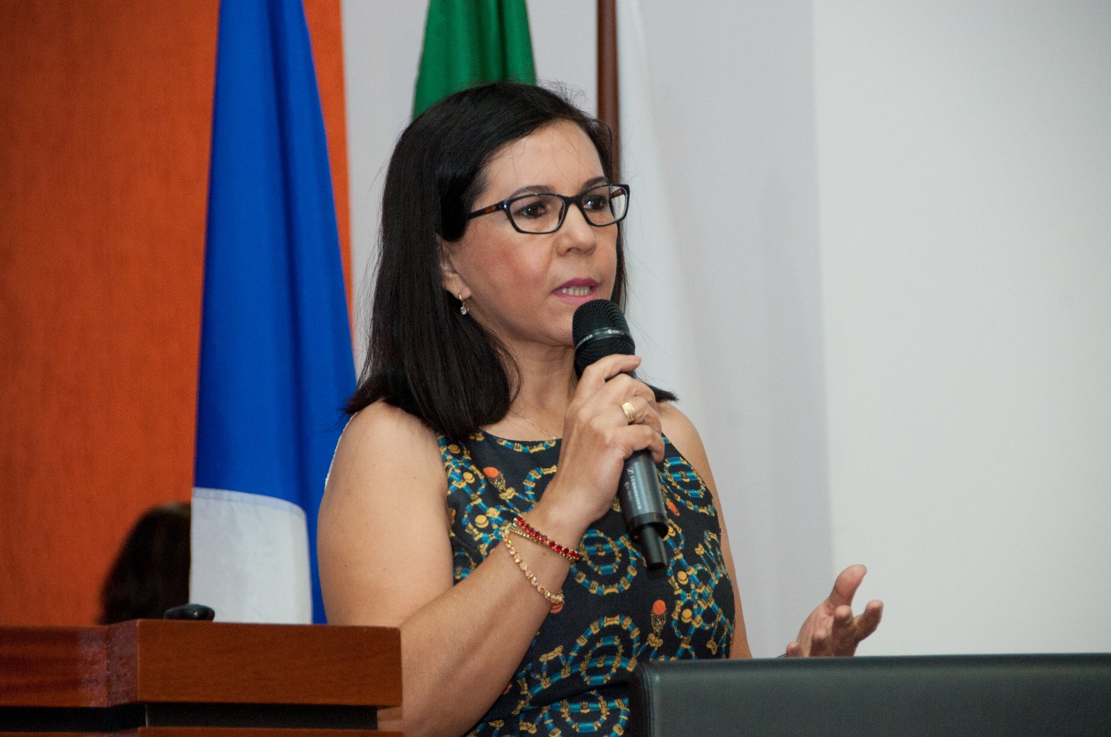 A auditora do TCU explanou sobre os programas de captação de recursos