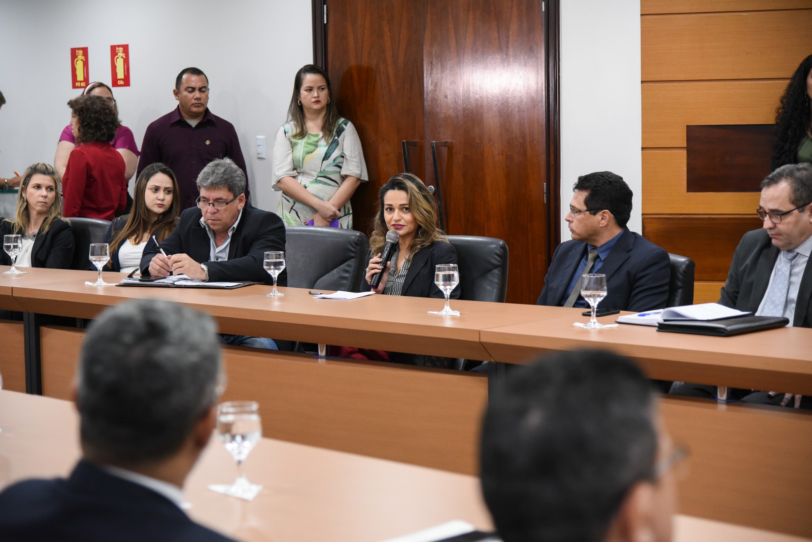 Promotora de Justiça Araína Cesárea D\'Alessandro fala durante a reunião