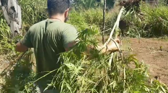 Foram mais de 20 dias de investigação