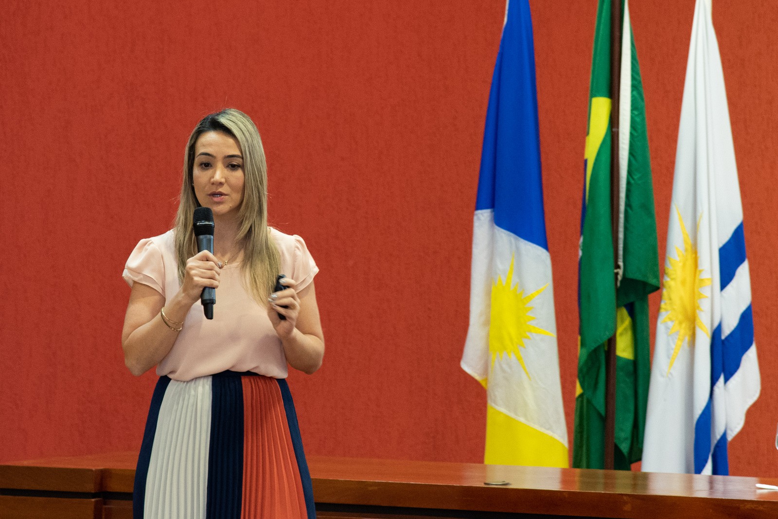 Promotora de Justiça de Santa Catarina, Greicia Malheiros