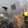 Brigadistas podem dar respostas rápidas e eficientes no combate a incêndios