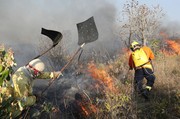 Brigadistas podem dar respostas rápidas e eficientes no combate a incêndios