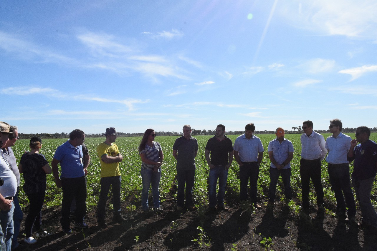 Equipe visitou fazenda para conhecer forma de cultivo de arroz