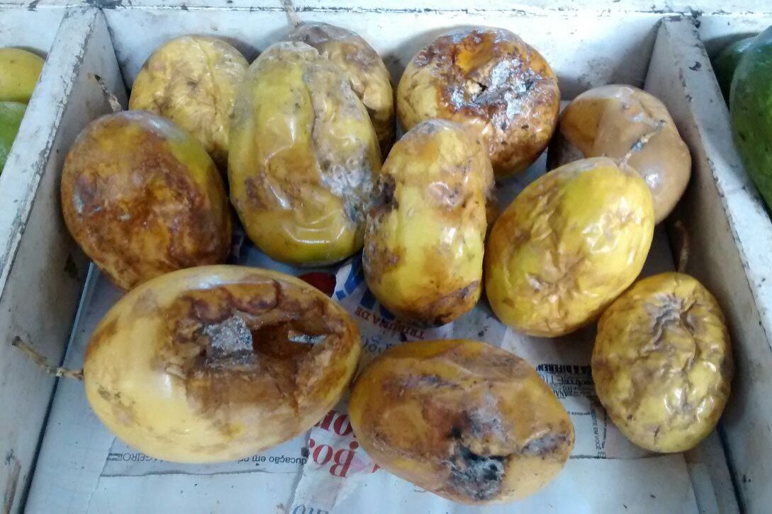 Centenas de produtos impróprios para consumo foram encontrados pela fiscalização