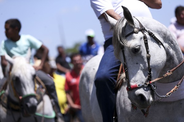 Cavalgada  ocorrerá no município no próximo domingo, 27.