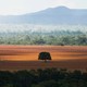 De acordo com o ICMBio, Cerrado cobre aproximadamente 25% do território nacional