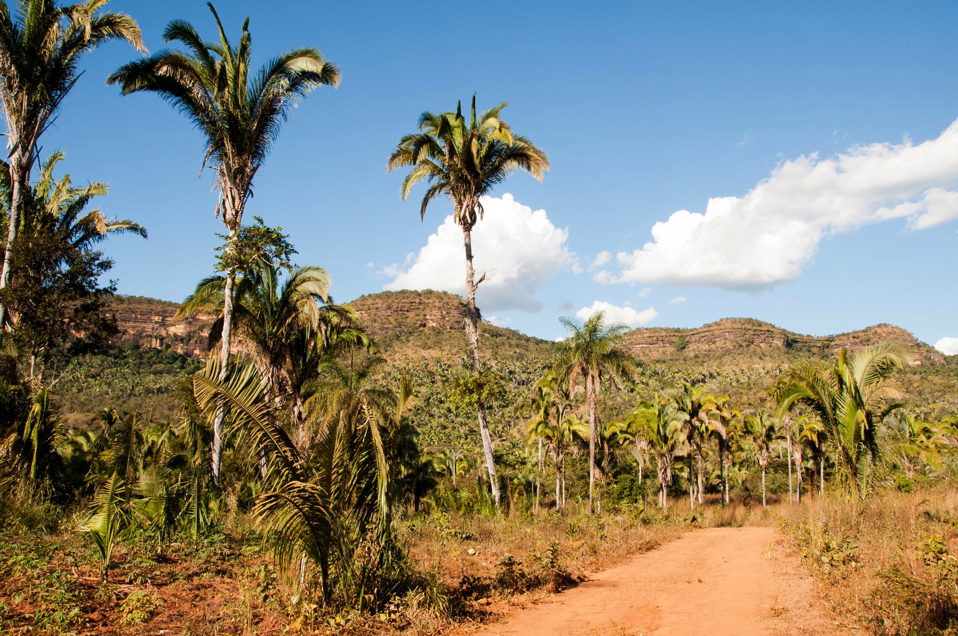 MPE solicitou informações do Naturatins sobre medidas para sanar as irregularidades