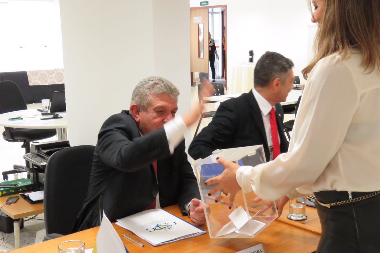 PGJ do Tocantins ao exercer o voto