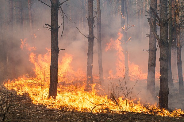 Incêndio de grandes proporções