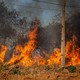 Mais de 117 mil hectares de área queimada já foram identificados pelo MPTO