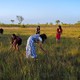 Visitar o campo de capim dourado foi uma experiência inesquecível