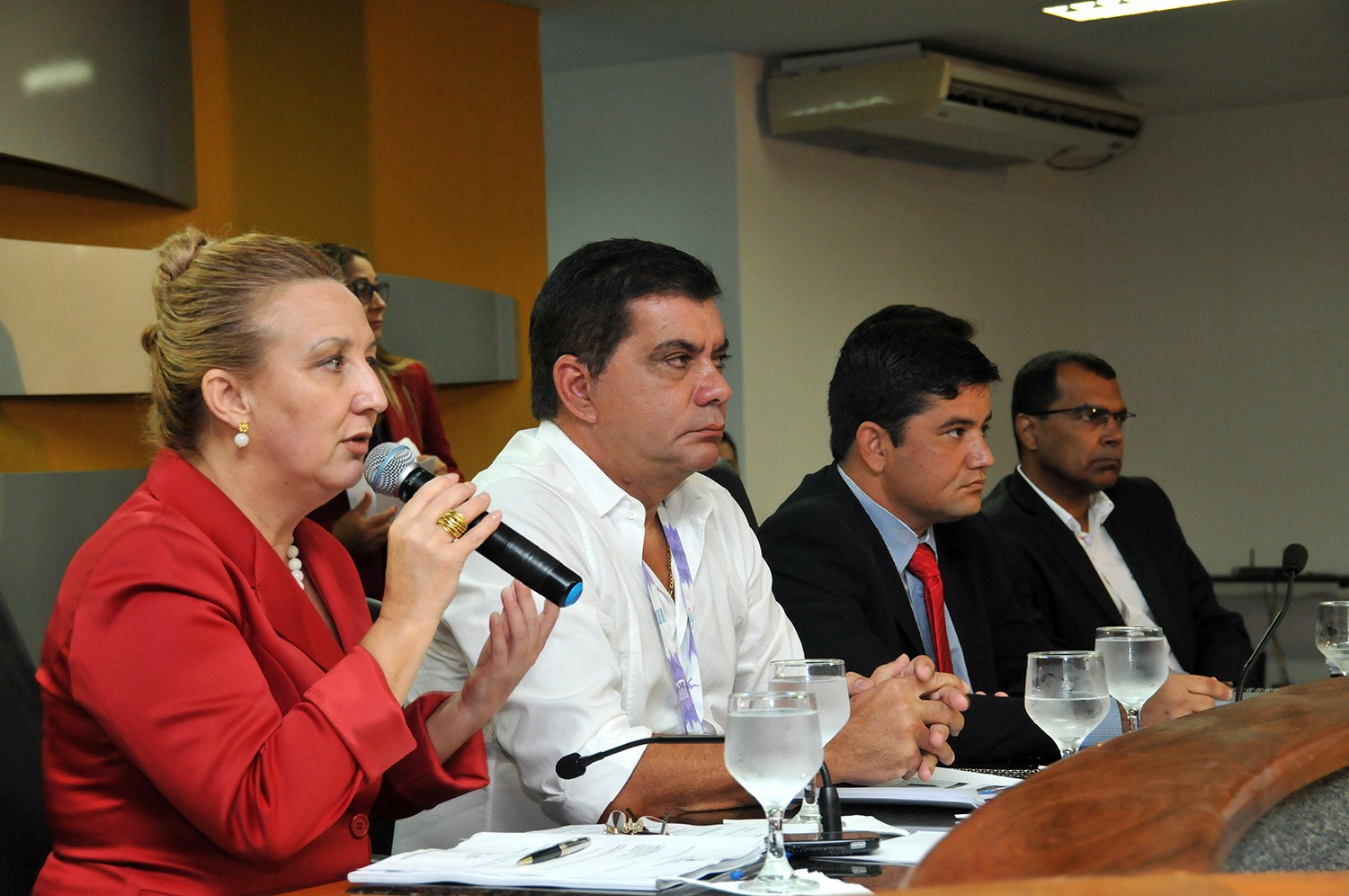 Promotora Maria Roseli participou de audiência pública