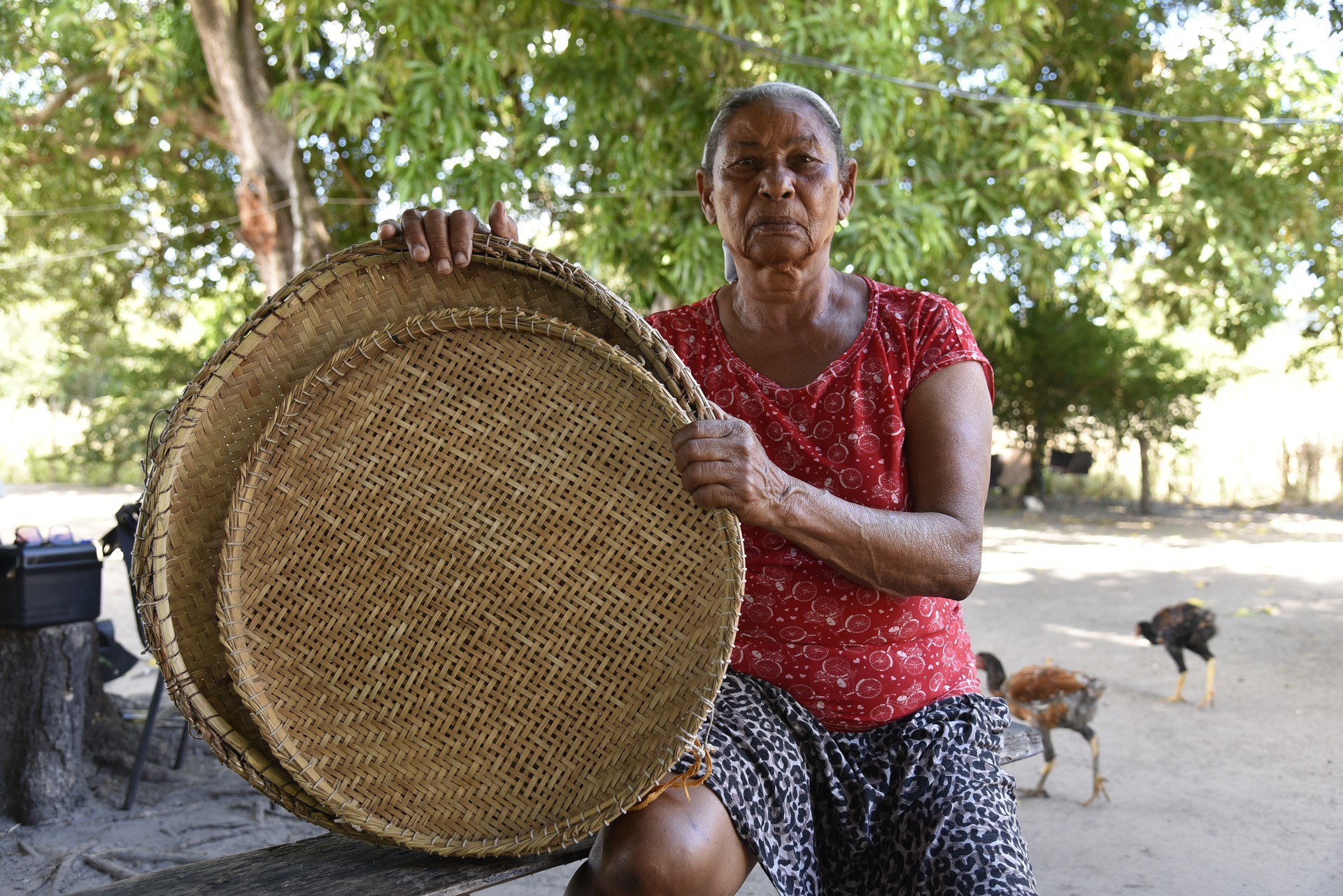 Dona Elzina Simão da Silva tem orgulho de tirar seu sustento da própria terra