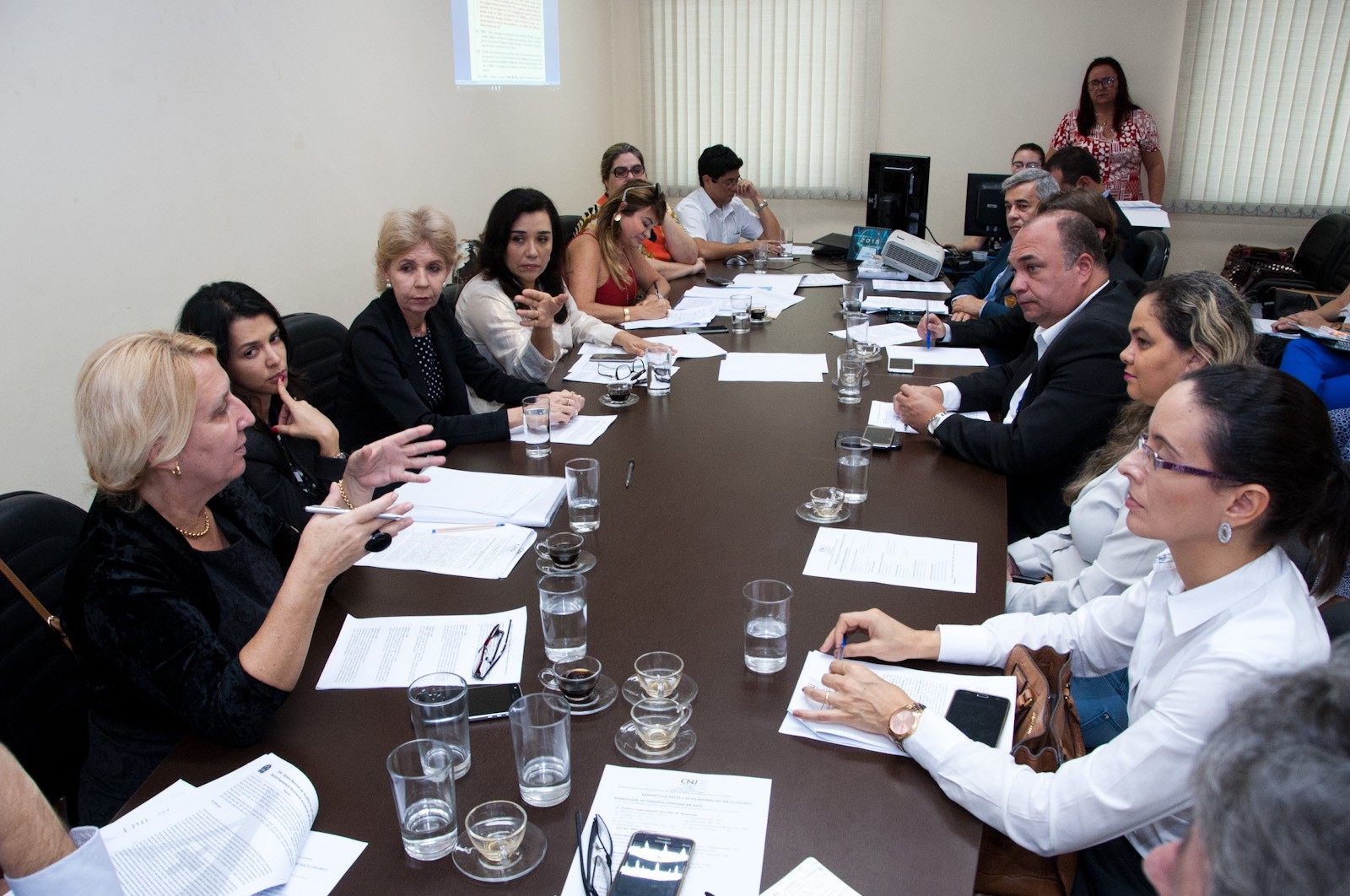 Promotora de Justiça Maria Roseli representou o MPE na reunião