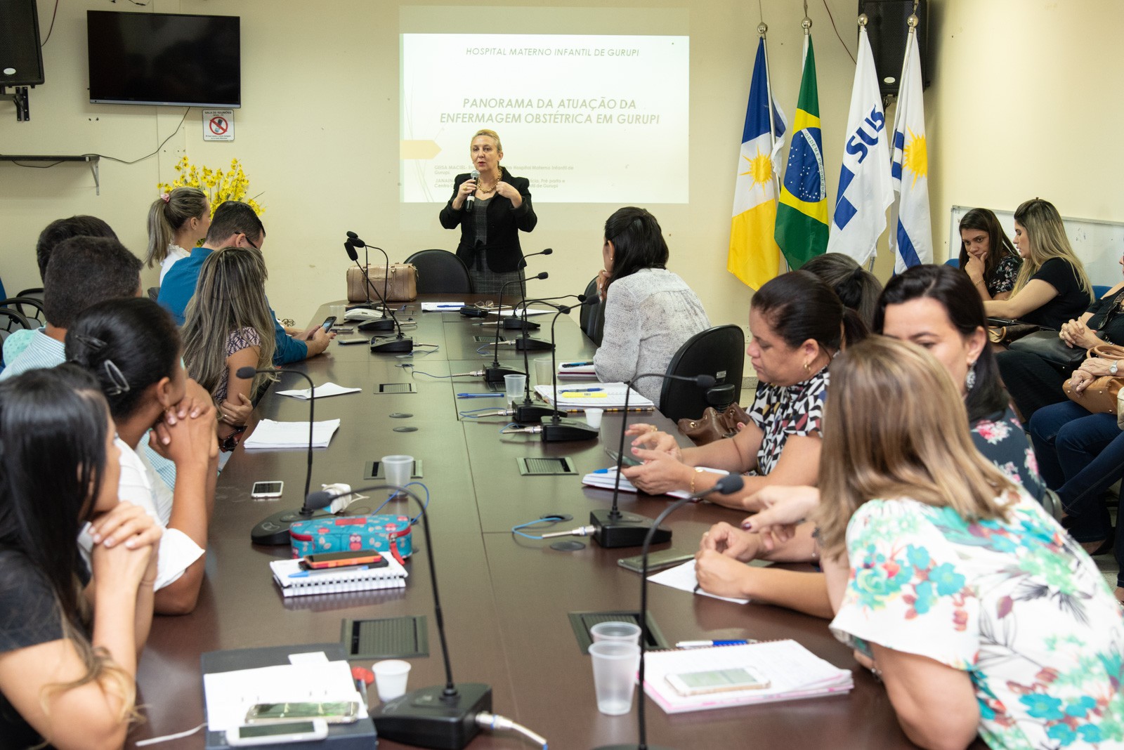 Encontro reuniu diversos órgãos da área da saúde no Estado