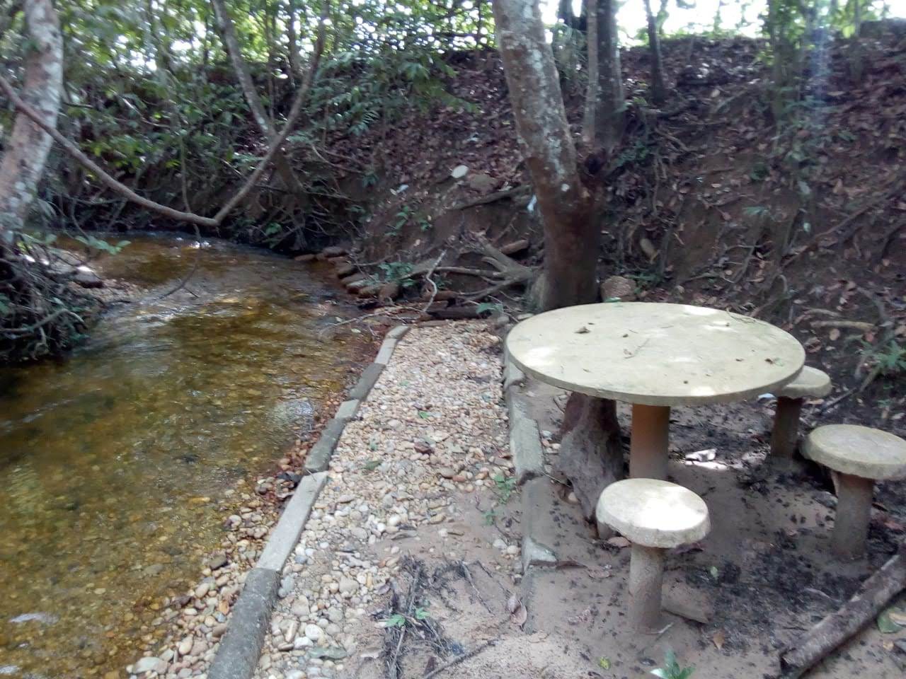 Das 27 chácaras visitadas na força-tarefa, 22 foram autuadas pelos órgãos ambientais 