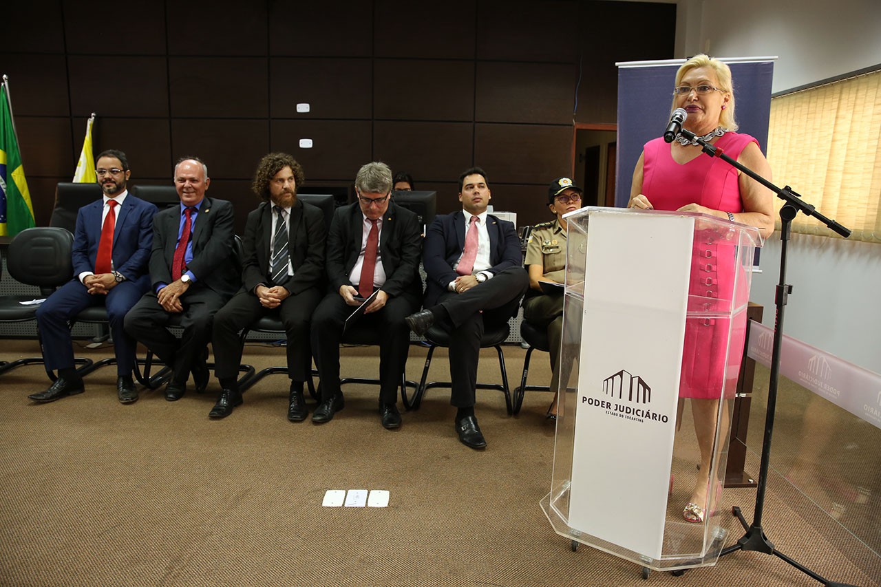 Vera Nilva parabenizou a iniciativa do Judiciário em formar uma rede com todas as instituições