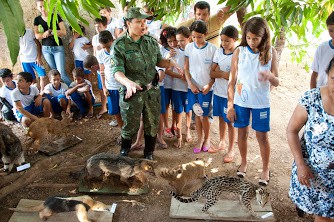 Cipra apresenta animais empalhados