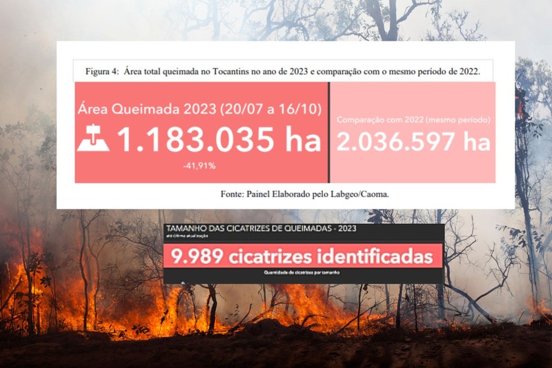 Área total queimada no Tocantins no ano de 2023