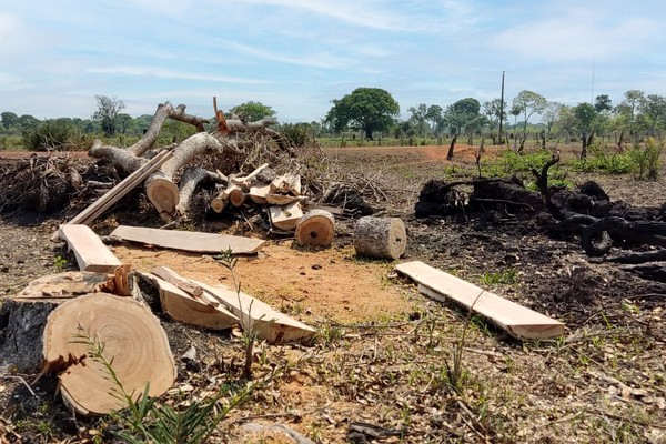 Área onde há suspeita de desmatamento corresponde a 52 mil campos de futebol